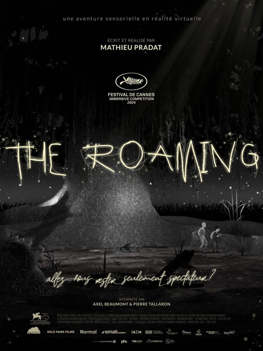 The Roaming