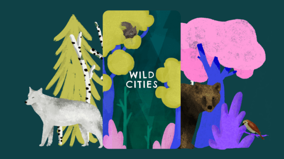 Wild cities