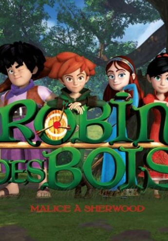 Cover du film :  Robin des Bois