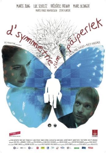 Cover du film :  La symétrie du papillon