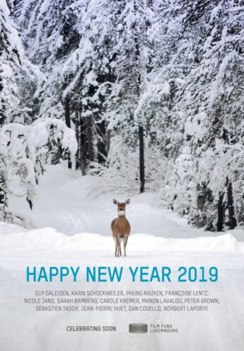 Cover du film :  Happy New Year 2019