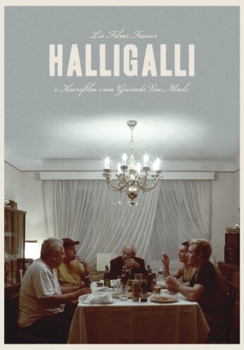 Cover du film :  Halligalli