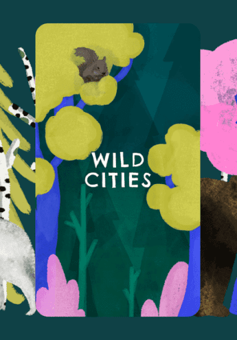 Cover du film :  Wild Cities