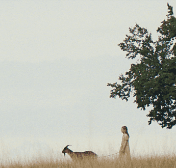 Cover du film :  The Herd