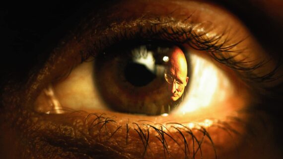 In the beginning was the eye_1