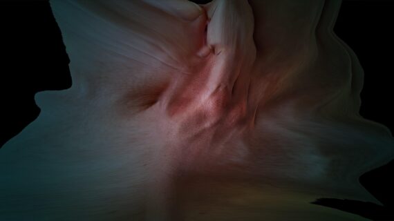 Fever1
